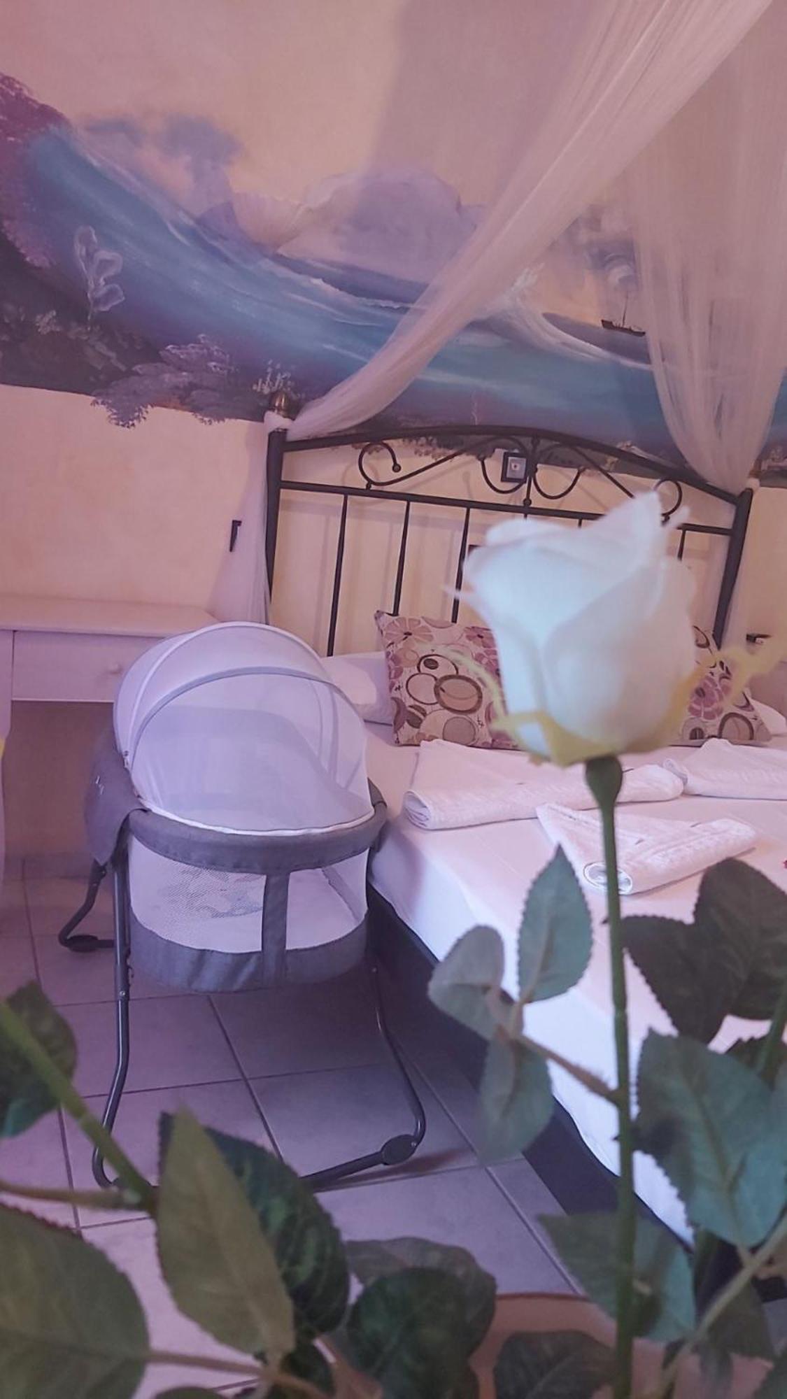 Aphrodite Boutique Hotel Alikí Extérieur photo