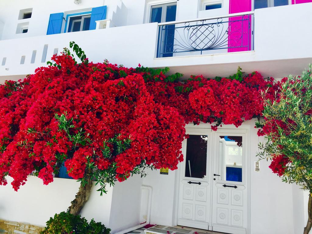 Aphrodite Boutique Hotel Alikí Extérieur photo